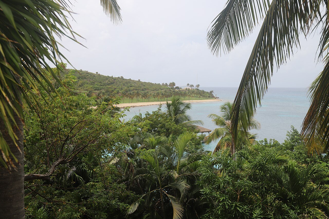 A tropical beach with turquoise water framed by palm foliage